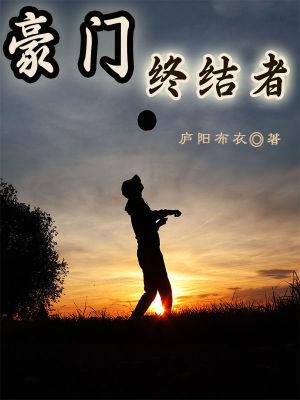 豪门终结者 庐阳布衣
