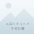 重生之女神养成计划TX校