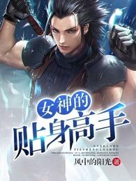 女神的贴身高手全集免费收听