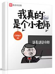 我是小老师作文500字