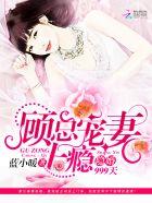 隐婚总裁顾兮兮