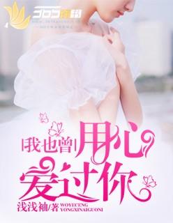 我曾用心的爱过你是什么歌
