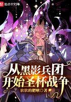 从黑影兵团开始圣杯战争TXT