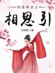 同道殊途剧情歌词