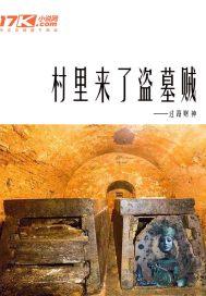 村里来了盗墓贼电视剧