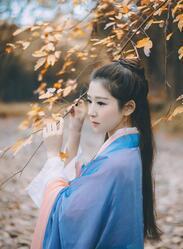 皇上太子妃