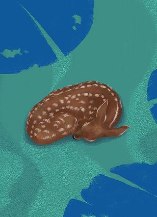 高调宠全文